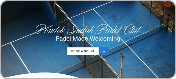 Website development service example